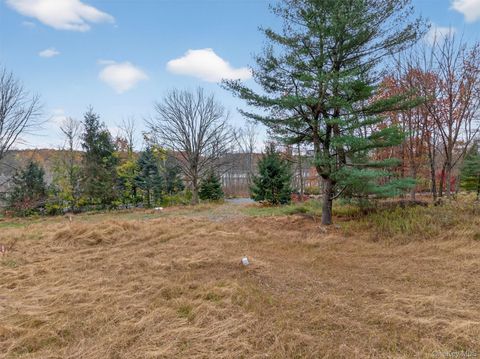 Vacant Land For Sale - 127 Benneywater Road<br/> Orange County, Port Jervis, NY 12771
