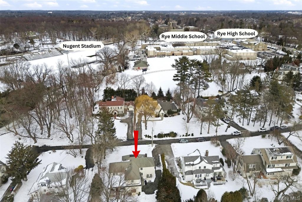 Photo of 6 Pine Lane, Rye, NY 10580 (MLS # 959955)