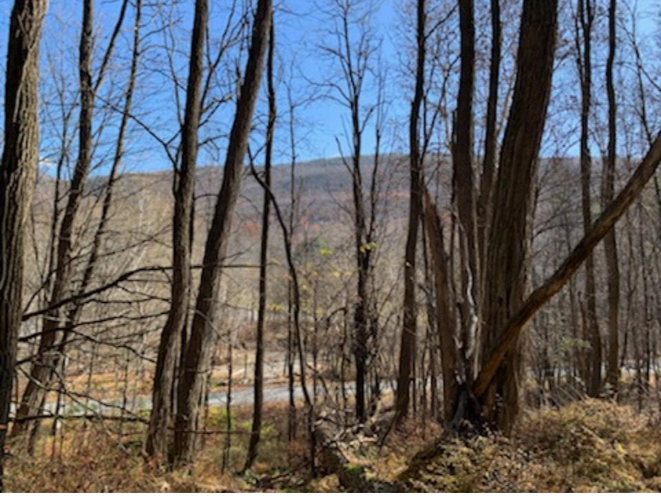 Phillipsport Rd, Spring Glen, New York image 1