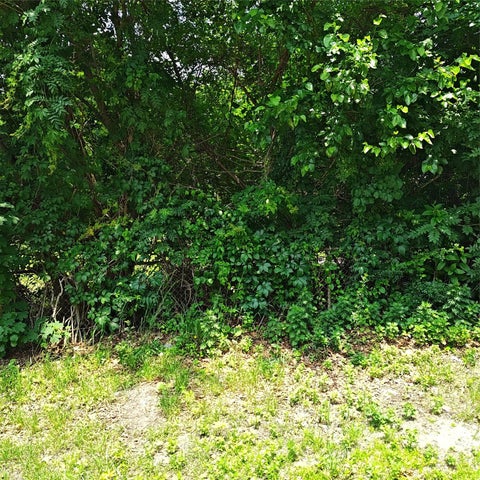 Vacant Land For Sale - 105 Gray Avenue<br/> Medford, NY 11763