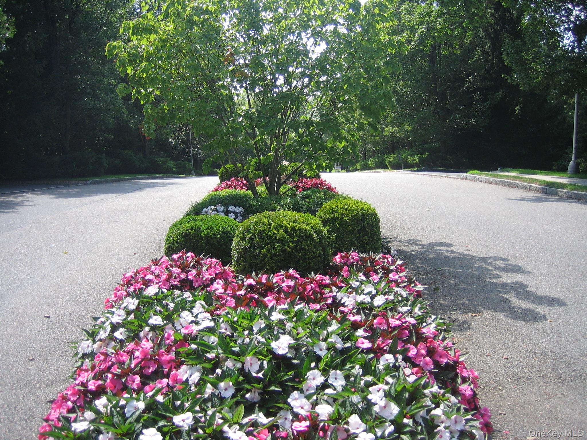 39 Club Pointe Drive