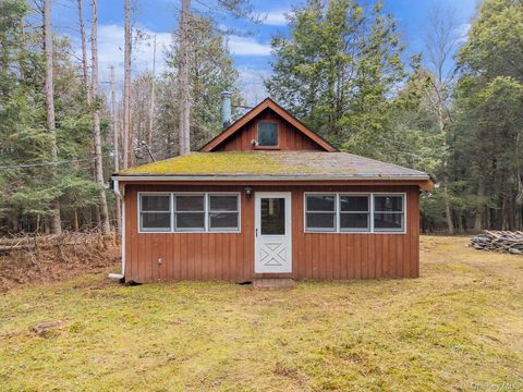 Homes For Sale - 202 Blakesley Road<br/> Gilboa, NY 12076