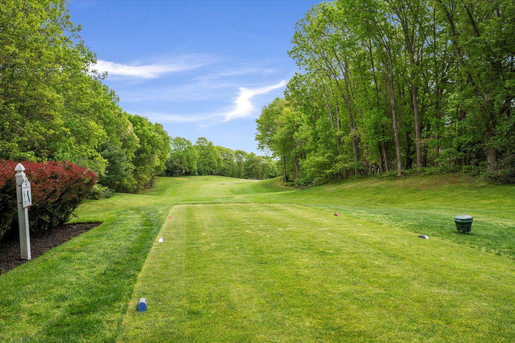 245 Birchwood Road, Coram, New York image 20