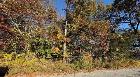 48 Newton Boulevard Ronkonkoma NY 11779