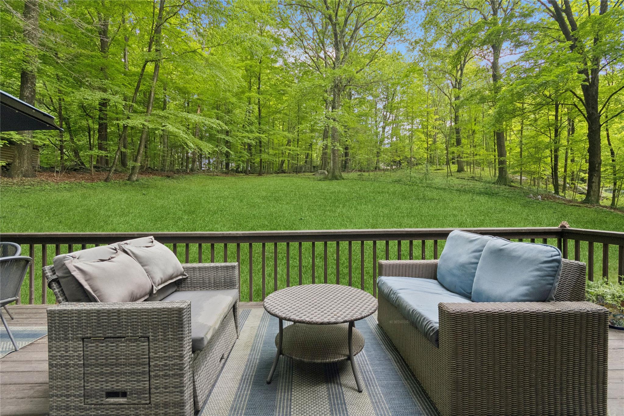 61 Nicole Way, Mahopac, New York image 46