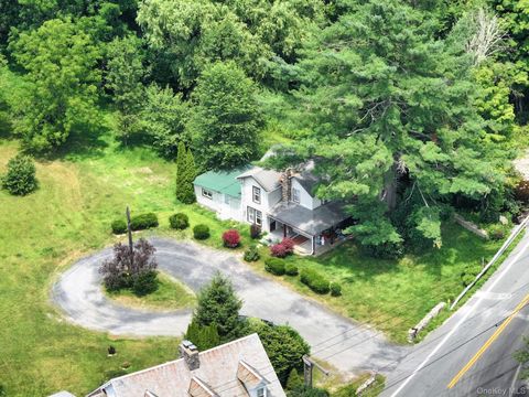 Homes For Sale - 1753 State Route 209<br/> Sullivan County, Westbrookville, NY 12790