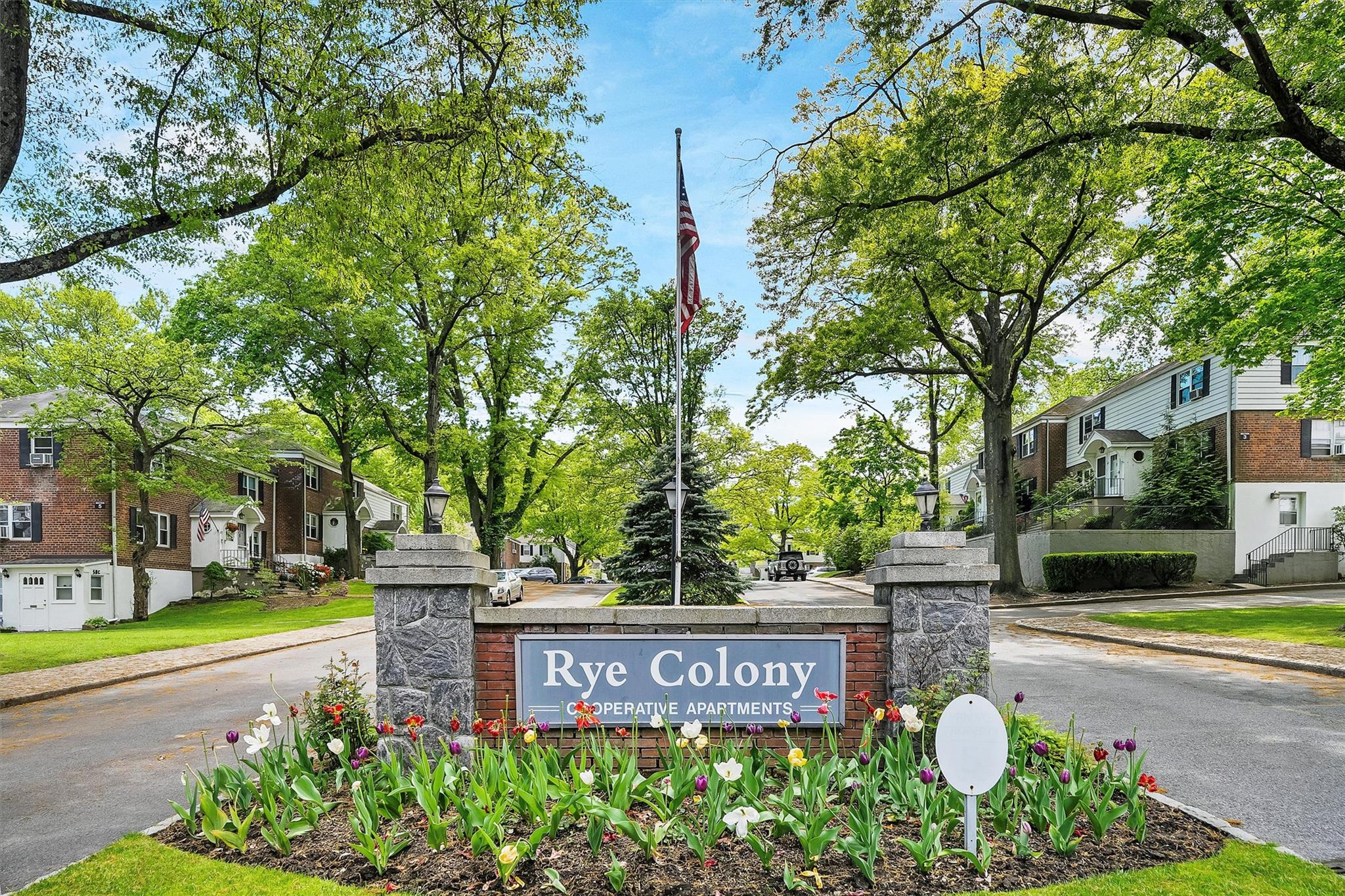 3 Peck Avenue #313A, Rye, New York image 1