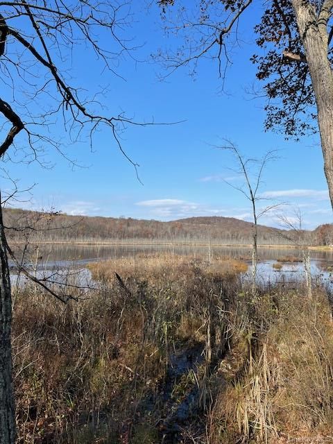 Vacant Land For Sale - Lily Lake Road<br/> Highland, NY 12528