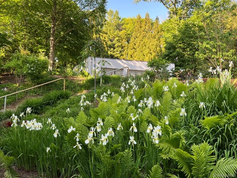 Tiny photo for 54 Cross Pond Road, Pound Ridge, NY 10576 (MLS # 1061606)