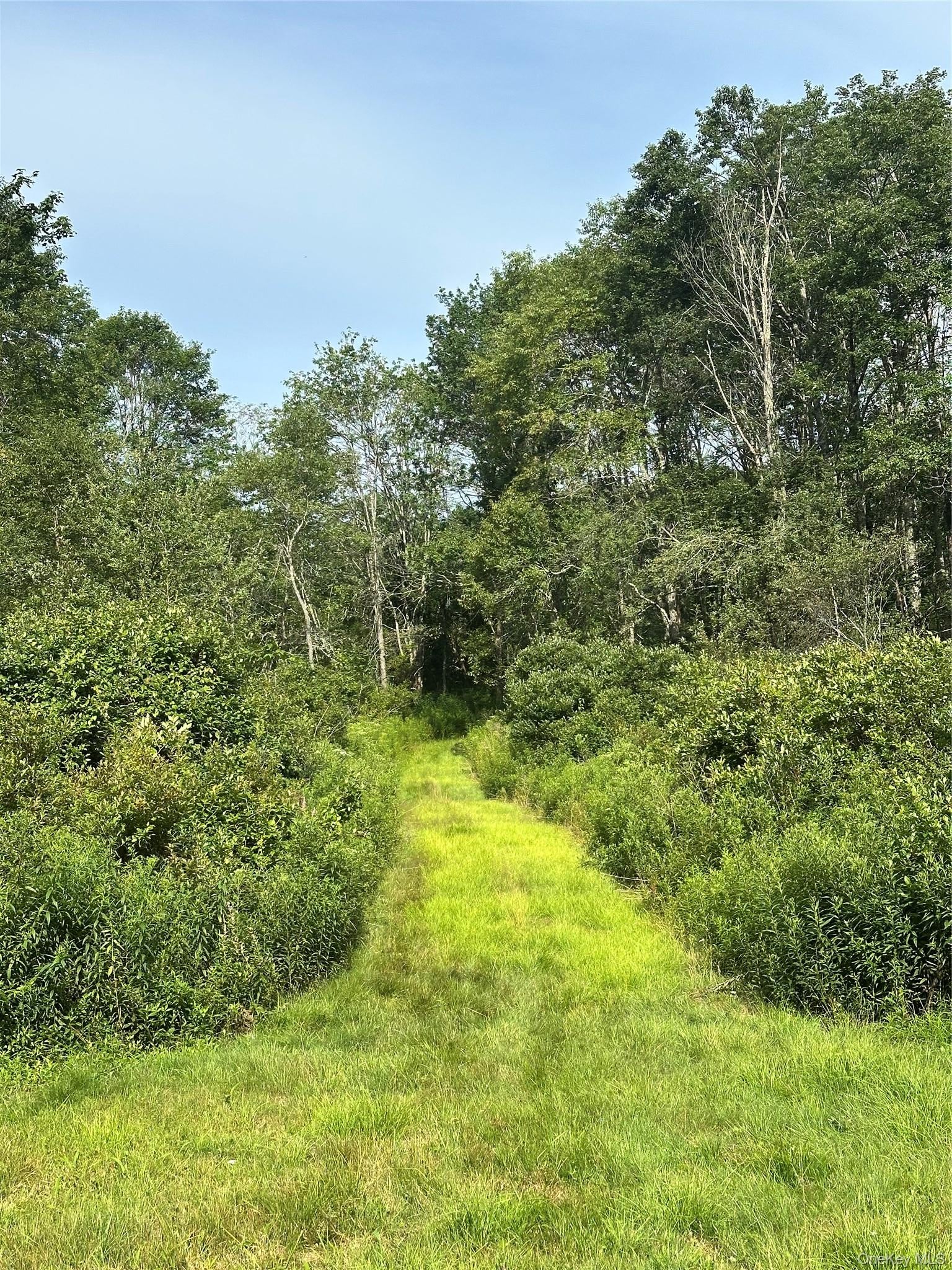 Benton Hollow Road