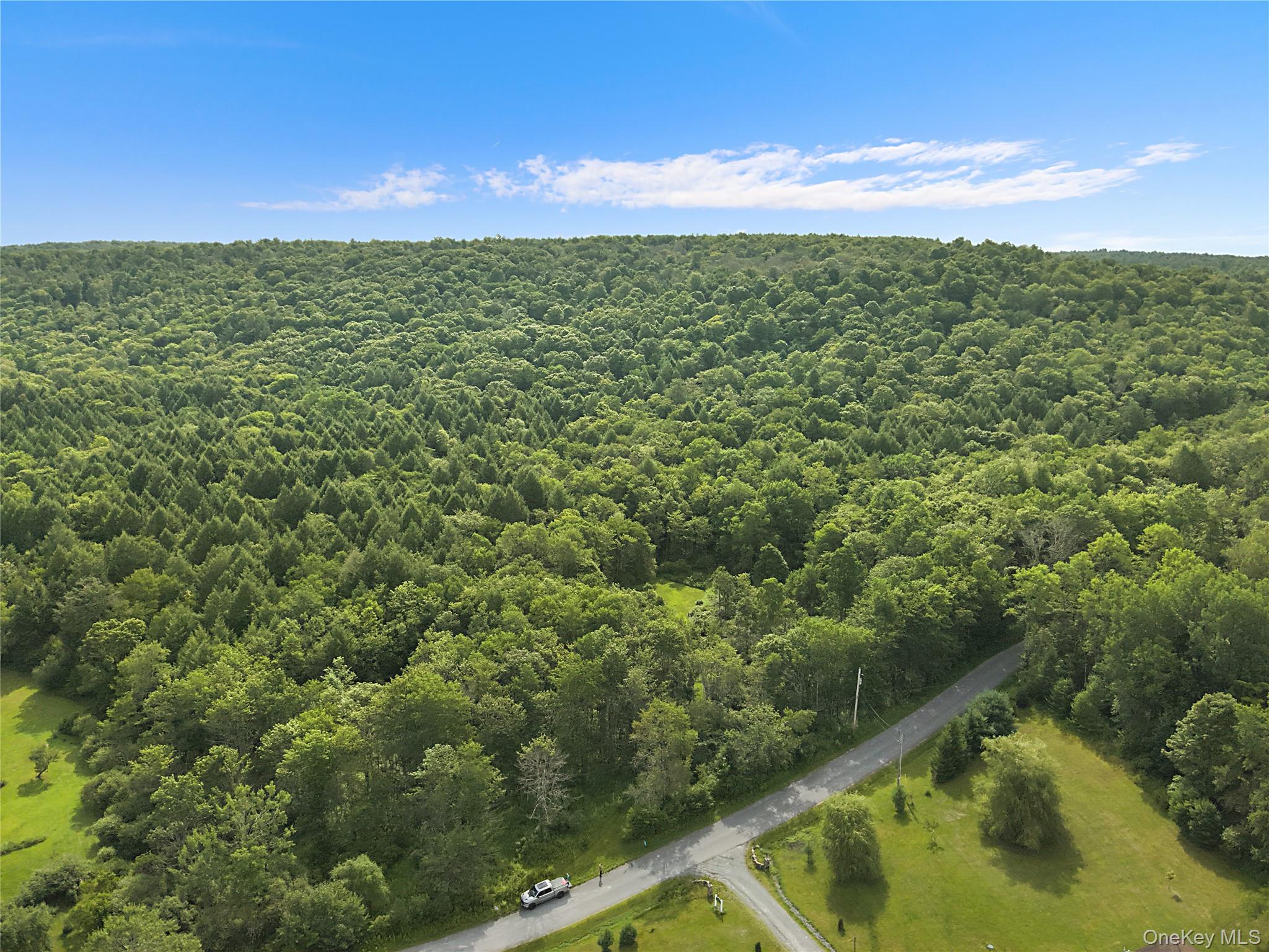 Benton Hollow Road