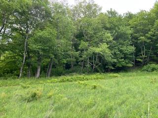 4950 Route 44, Amenia, New York image 2