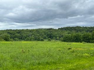 4950 Route 44, Amenia, New York image 12