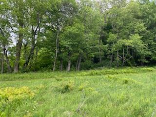 4950 Route 44, Amenia, New York image 3