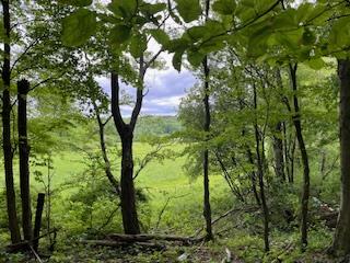 4950 Route 44, Amenia, New York image 6