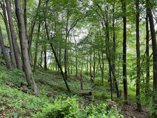 4950 Route 44, Amenia, New York image 8