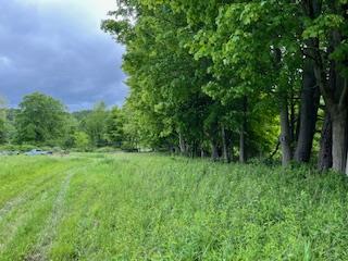 4950 Route 44, Amenia, New York image 13