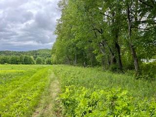 4950 Route 44, Amenia, New York image 4