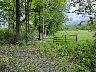 4950 Route 44, Amenia, New York image 14