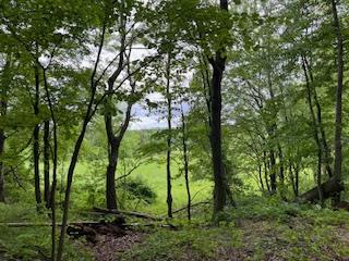 4950 Route 44, Amenia, New York image 10