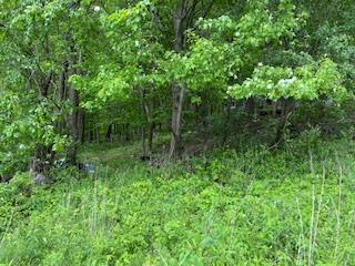 4950 Route 44, Amenia, New York image 5