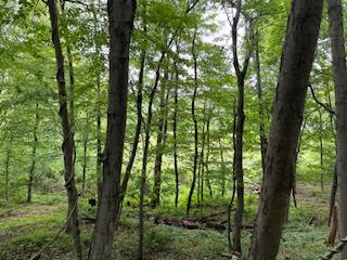 4950 Route 44, Amenia, New York image 9