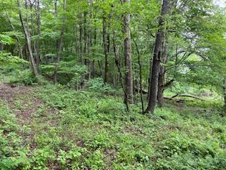 4950 Route 44, Amenia, New York image 7