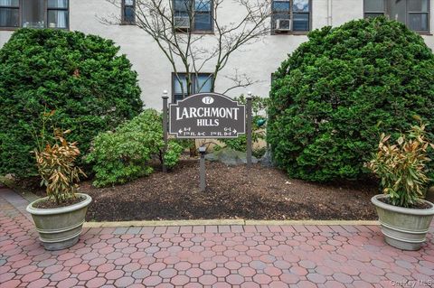 17 N Chatsworth Avenue 3L Larchmont NY 10538
