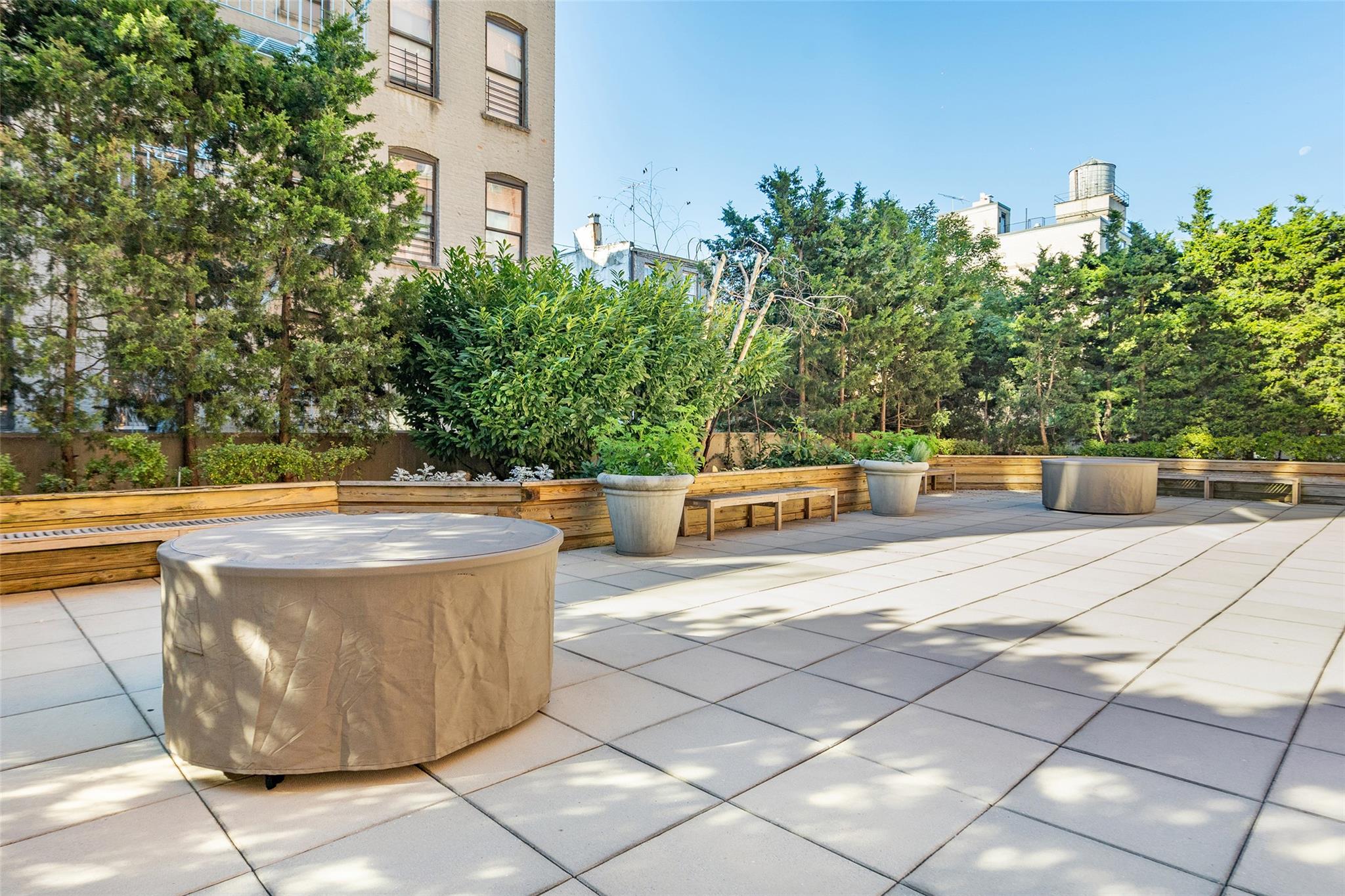 342 E 119 St St #1F, New York (Manhattan), New York image 14