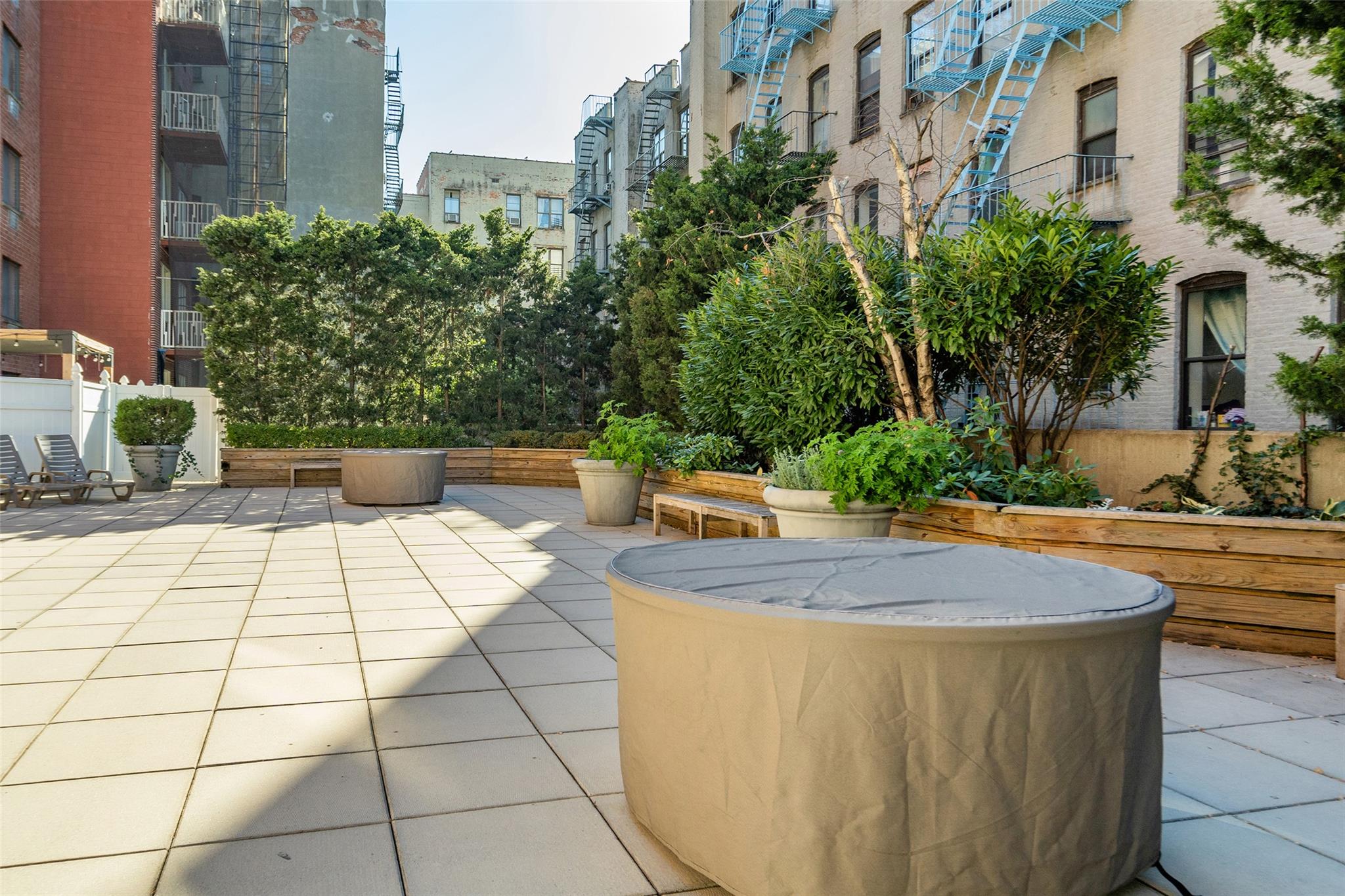 342 E 119 St St #1F, New York (Manhattan), New York image 17