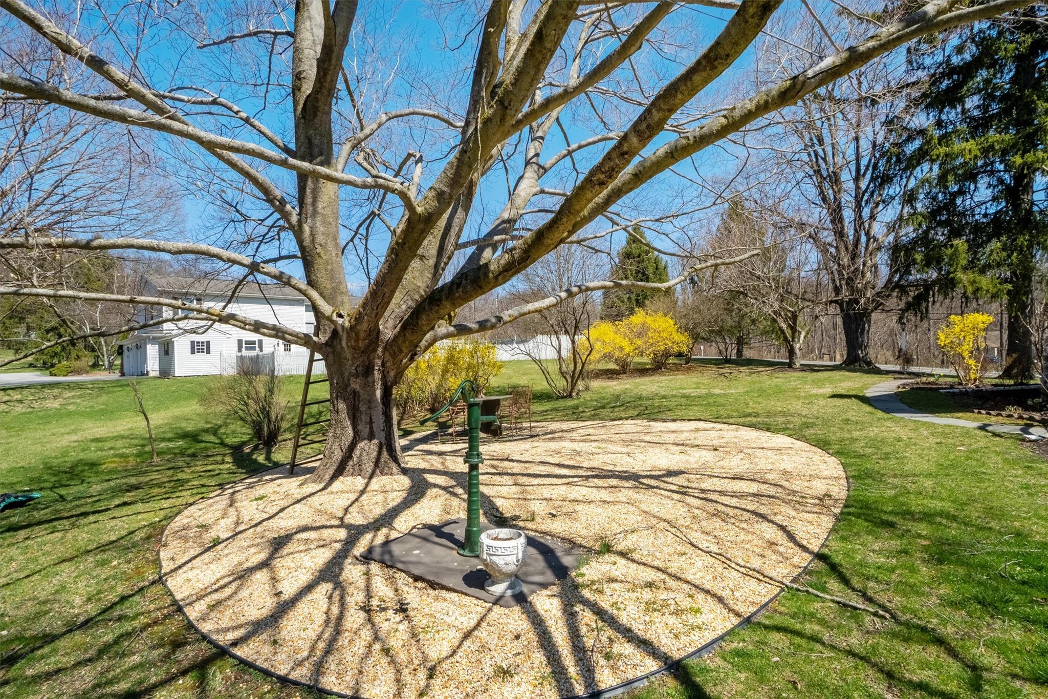 262 Cream Street, Poughkeepsie, New York image 36