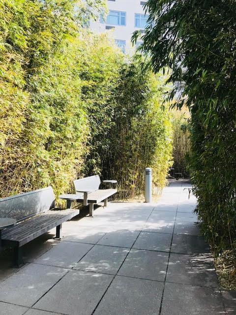 40-26 College Point Boulevard #16E, Flushing, New York image 23