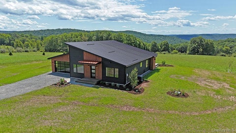 Homes For Sale - 199 Henderson Road<br/> Sullivan County, Hankins, NY 12736