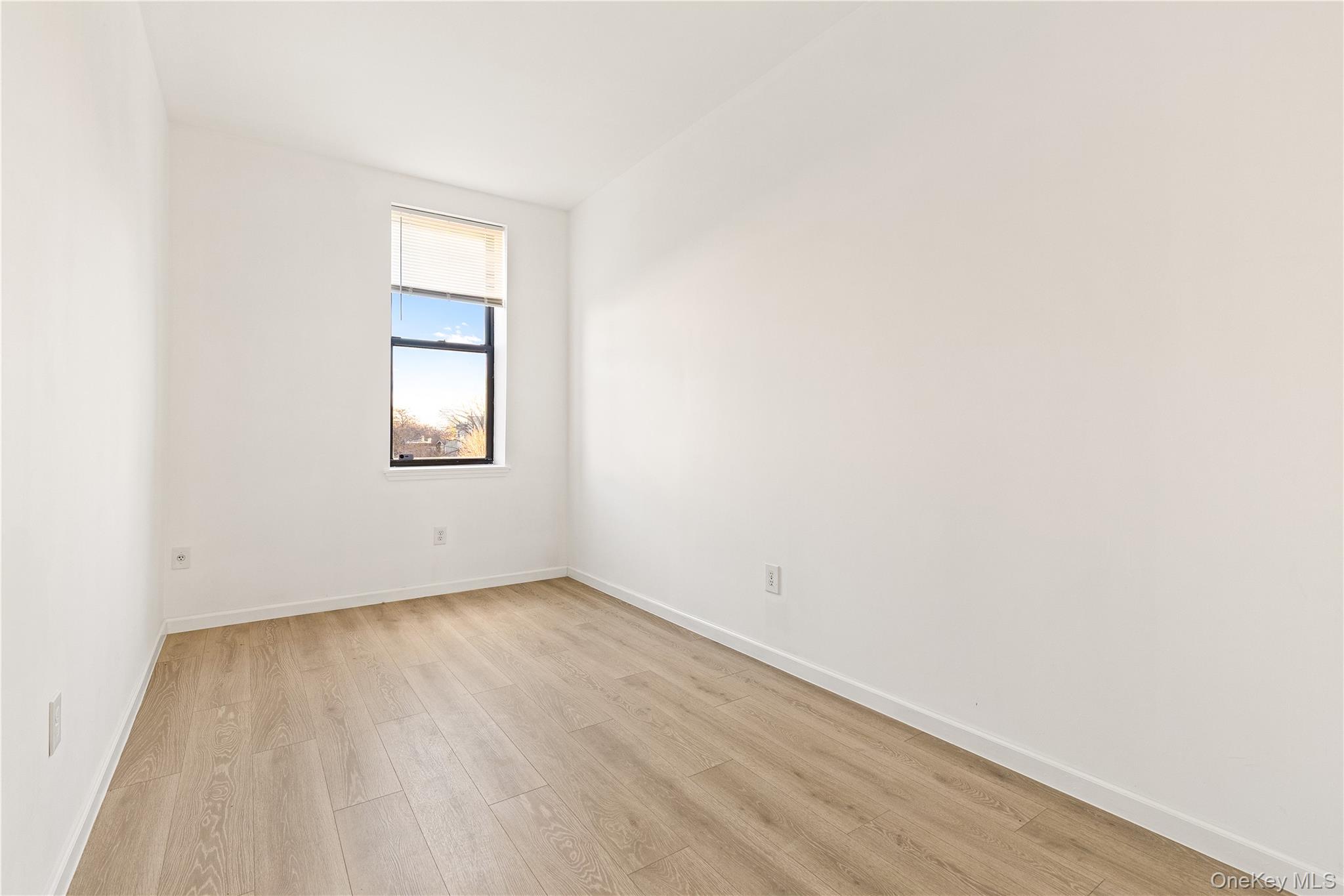 1644 Atlantic Avenue 3