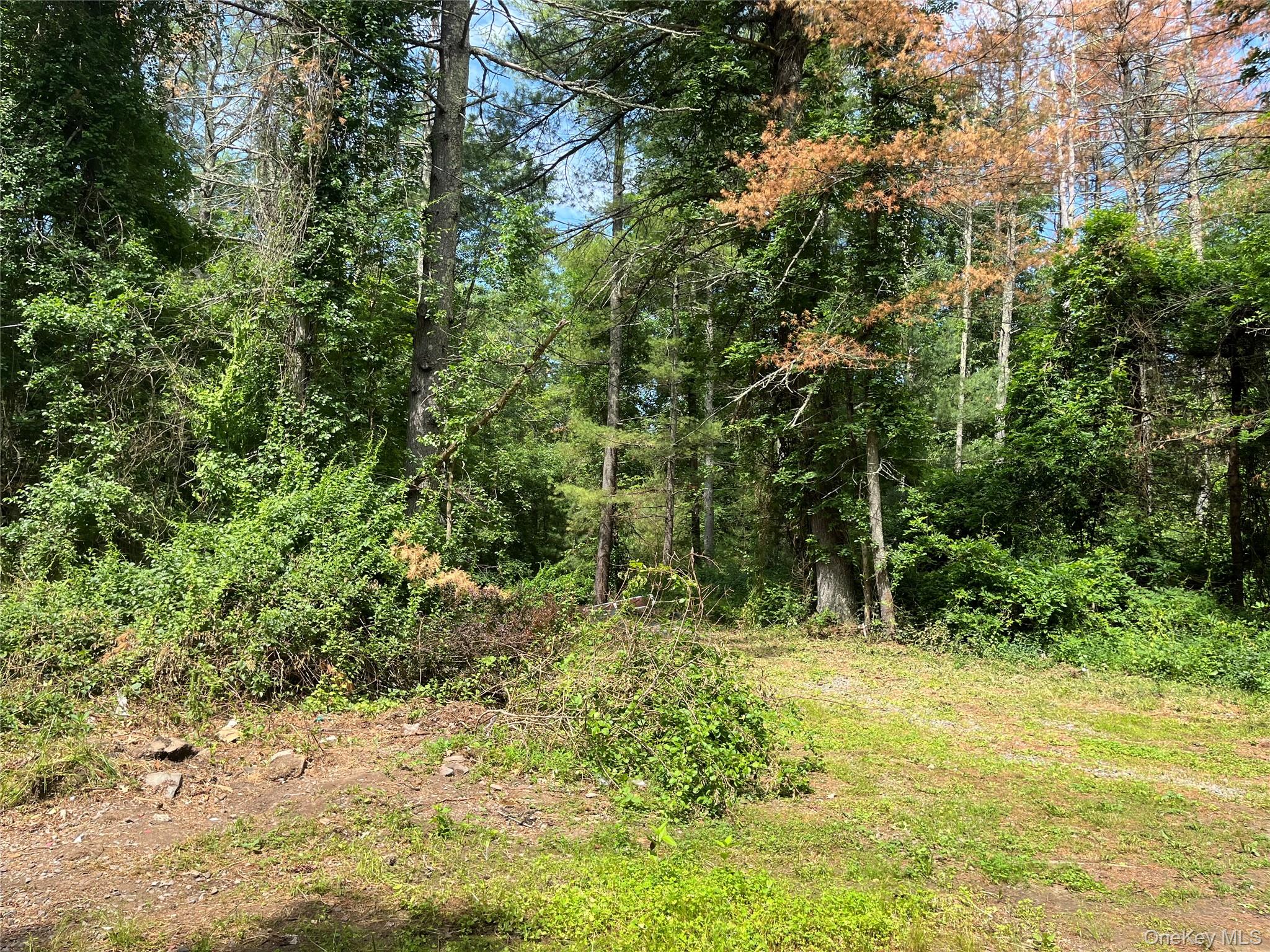 1145 Glasco Turnpike