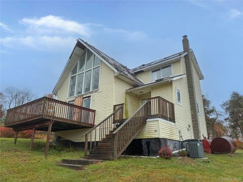 938 Horseshoe Lake Road Swan Lake NY 12783