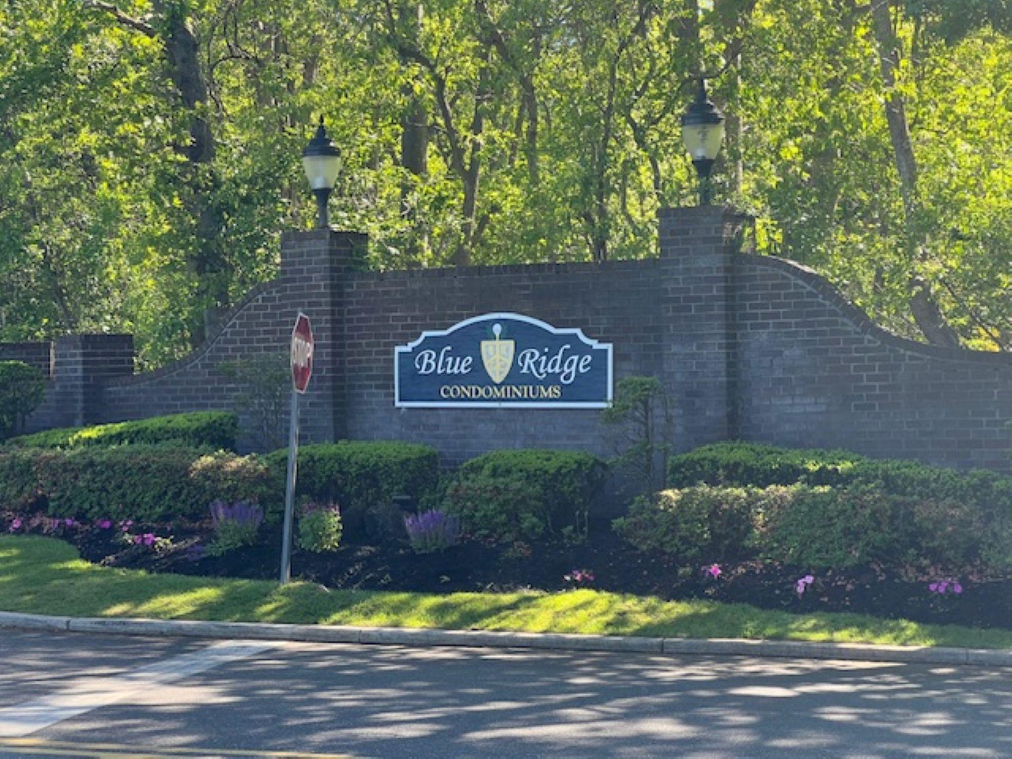 568 Blue Ridge Drive, Medford, New York image 2