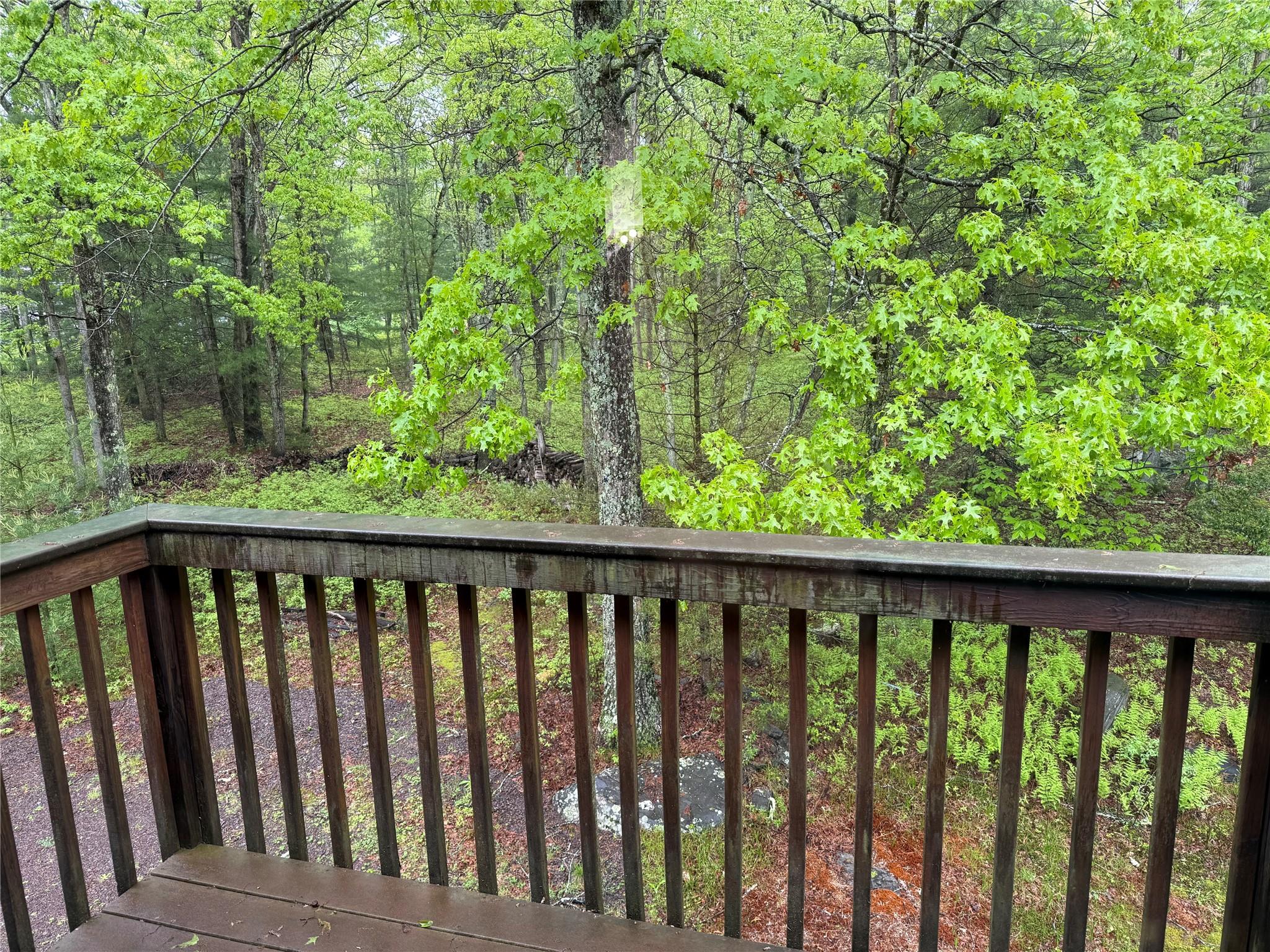 123 Split Rock Drive, Barryville, New York image 19