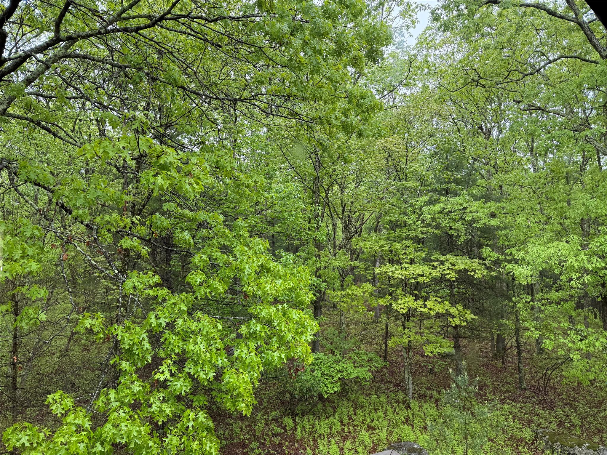 123 Split Rock Drive, Barryville, New York image 18