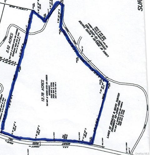 Photo of Mount Ross Road, Pine Plains, NY 12567 (MLS # 1009852)
