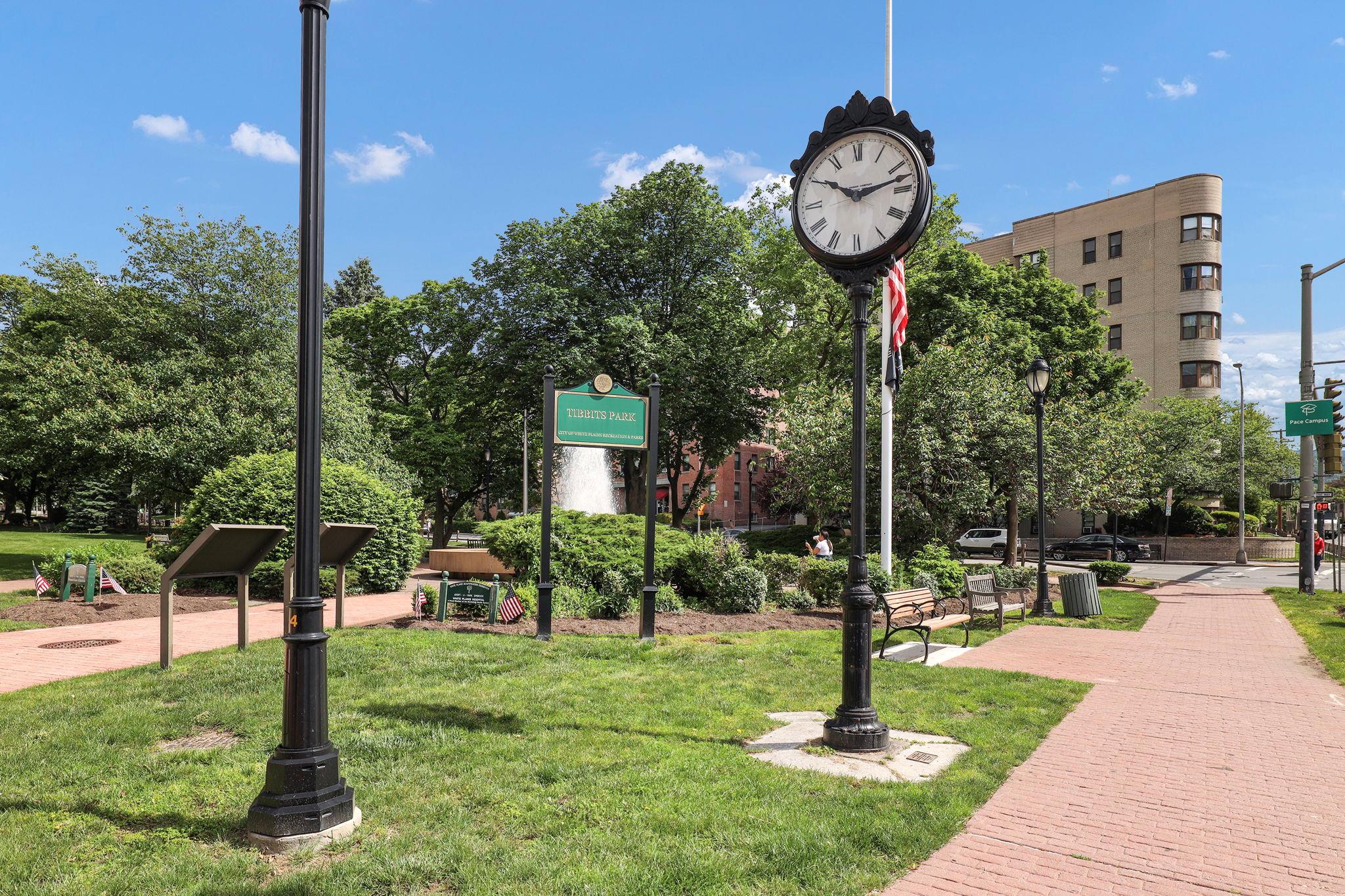 10 North Broadway #3H, White Plains, New York image 18