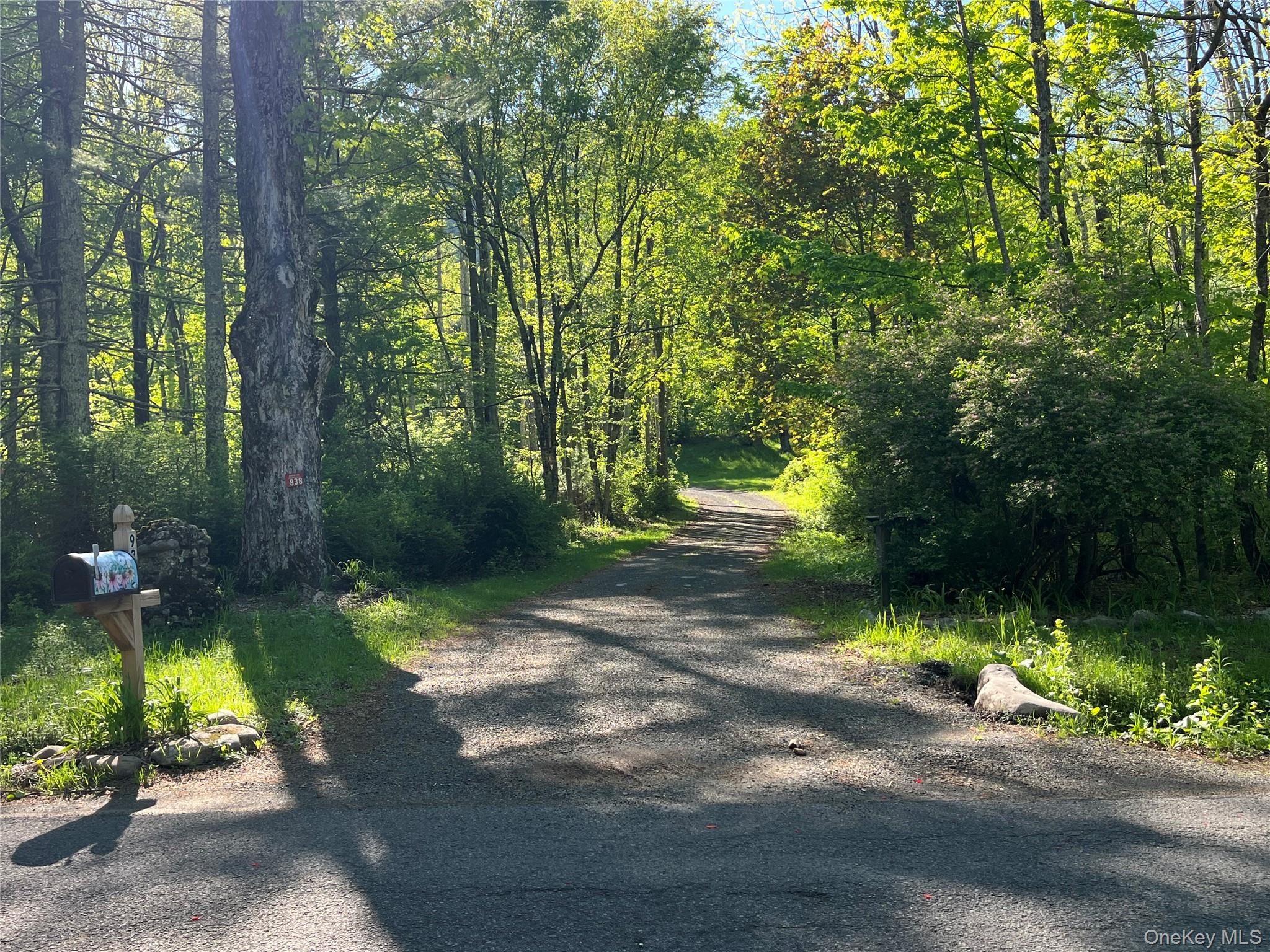 938 Woodland Valley Road