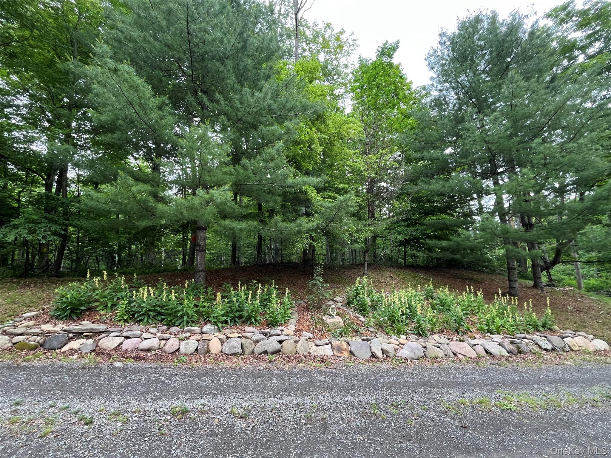 938 Woodland Valley Road