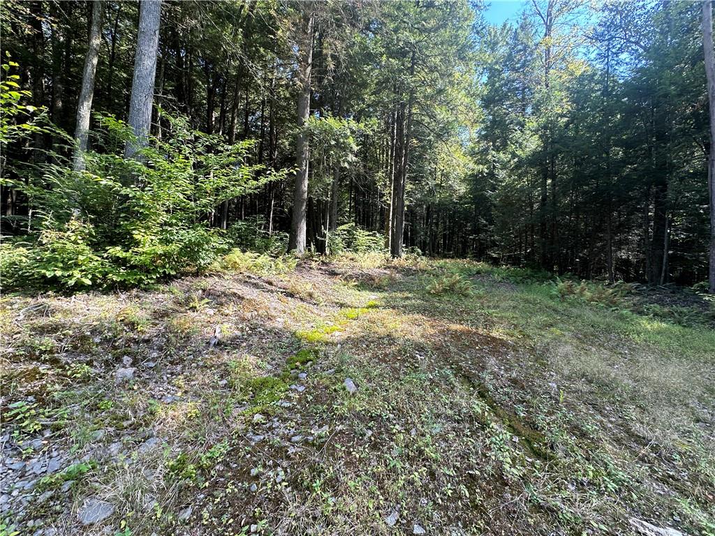 Lot 37 Kenoza Estates, Kenoza Lake, New York image 3