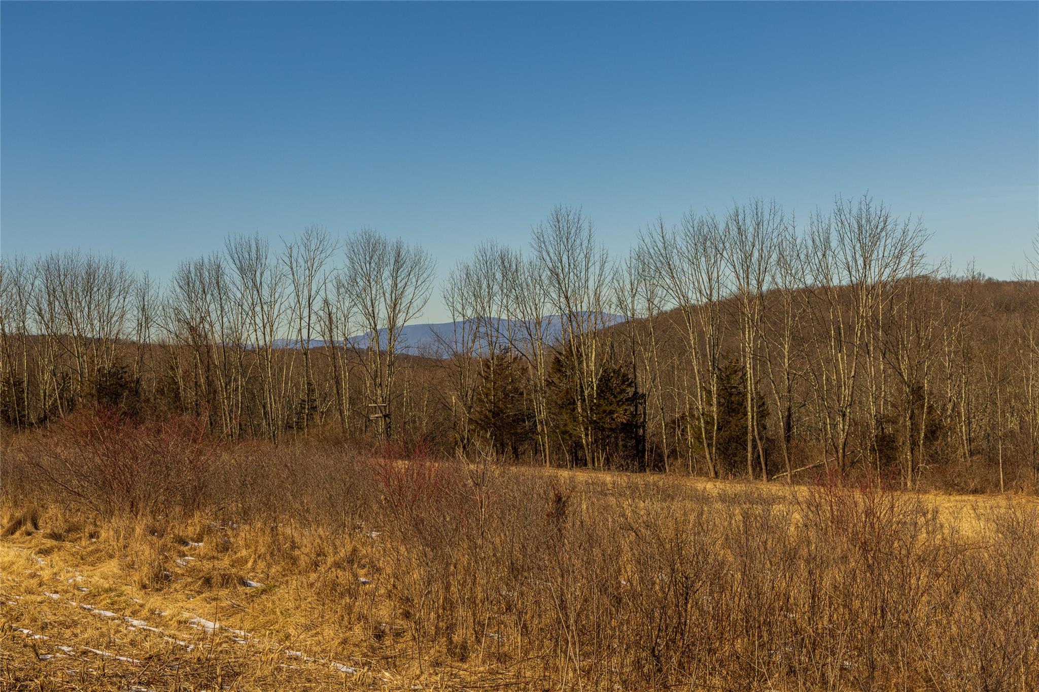 State Route 199 Road, Red Hook, New York image 5