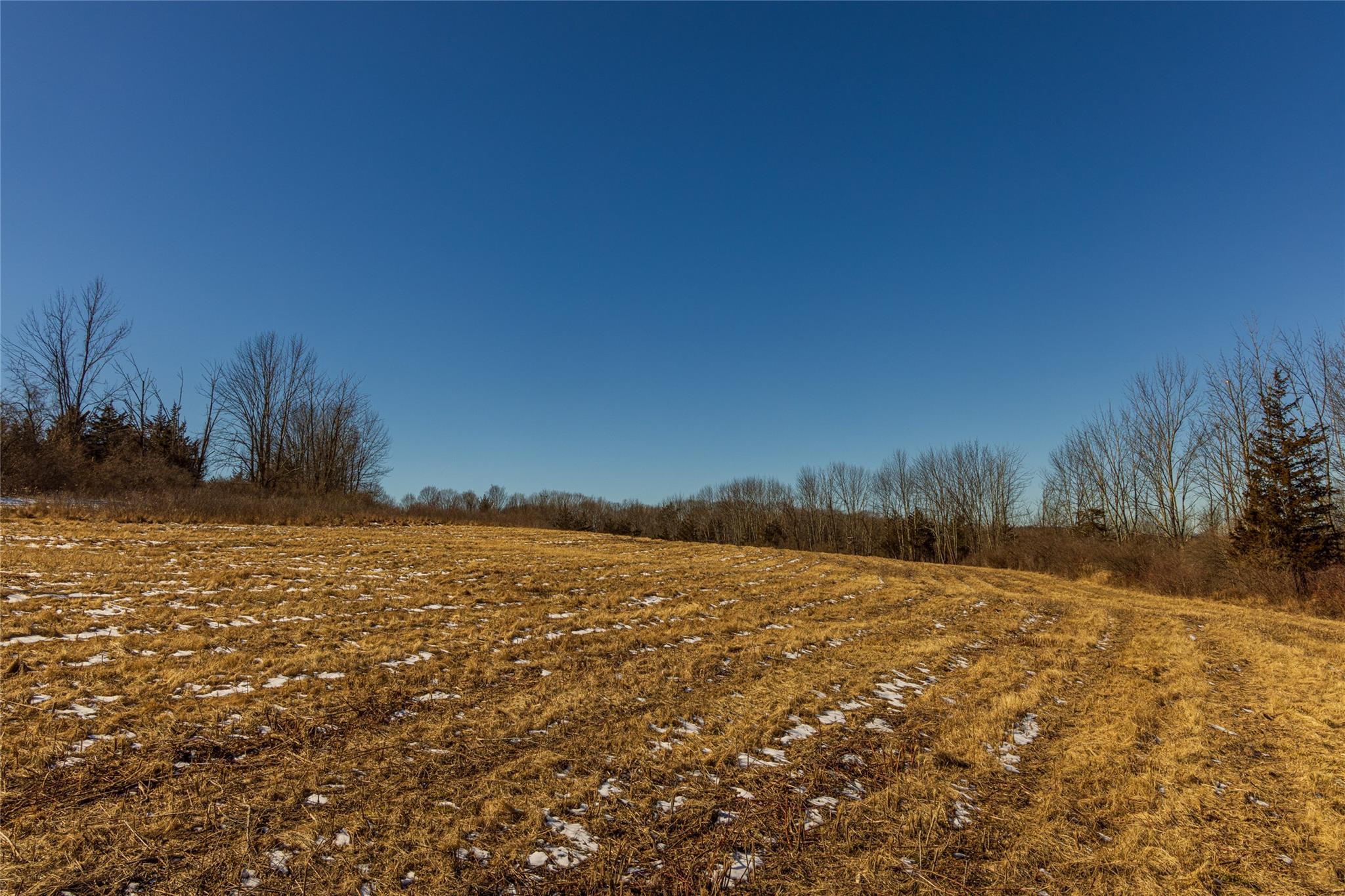 State Route 199 Road, Red Hook, New York image 39