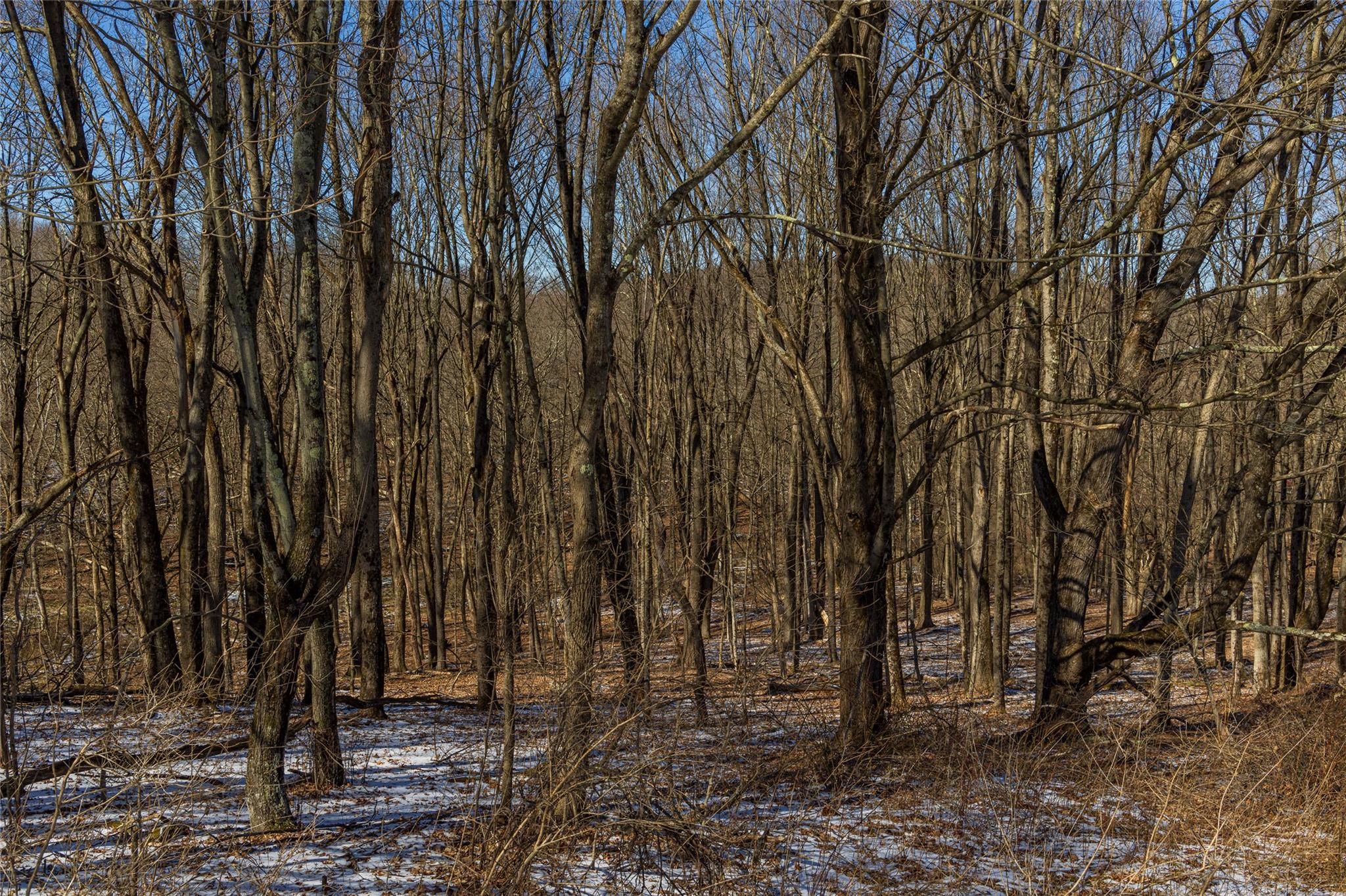 State Route 199 Road, Red Hook, New York image 41