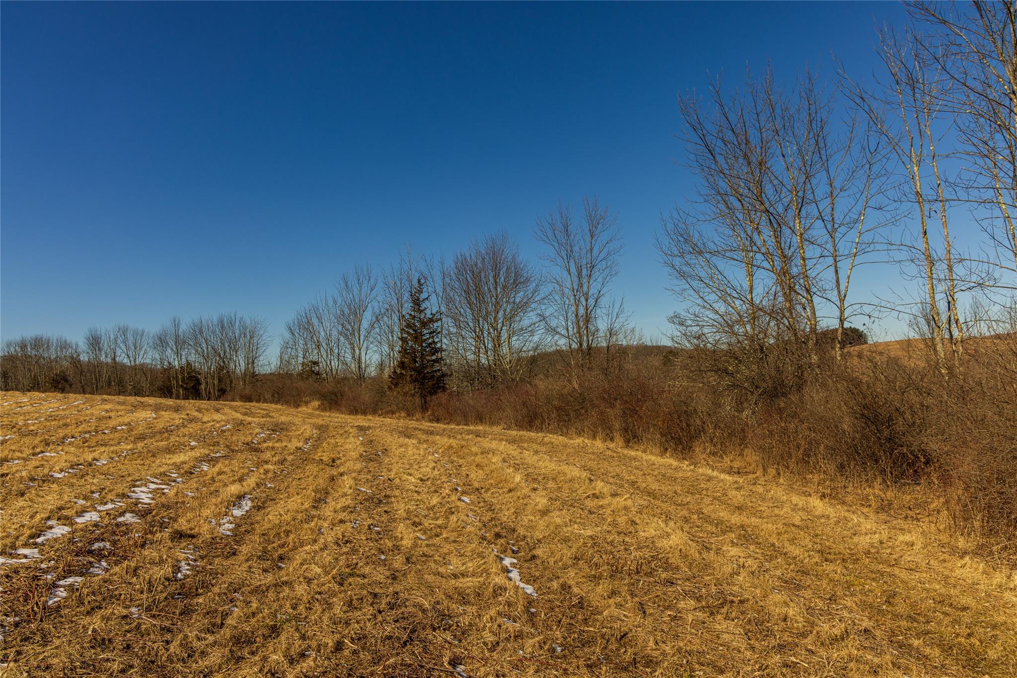 State Route 199 Road, Red Hook, New York image 40