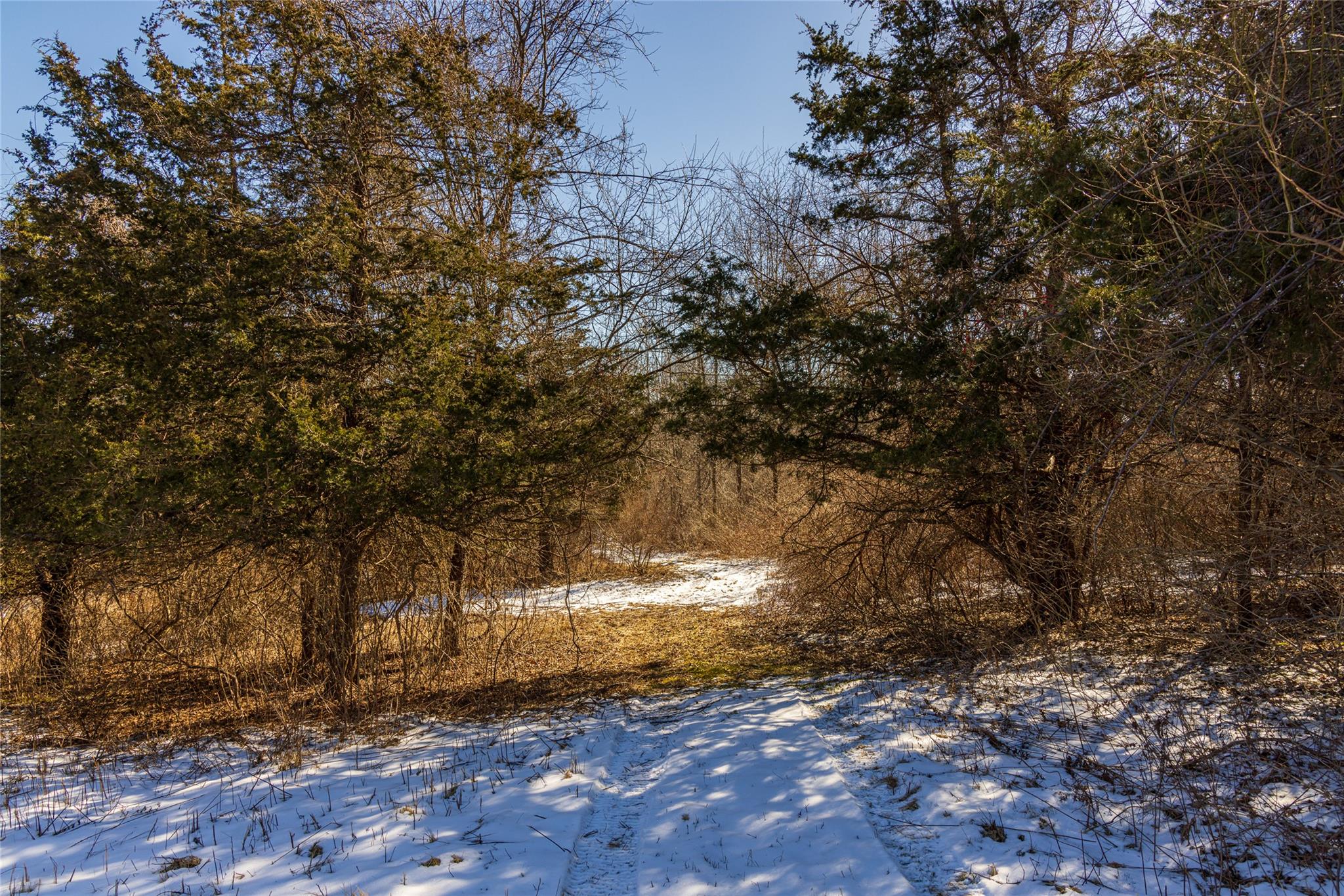 State Route 199 Road, Red Hook, New York image 34