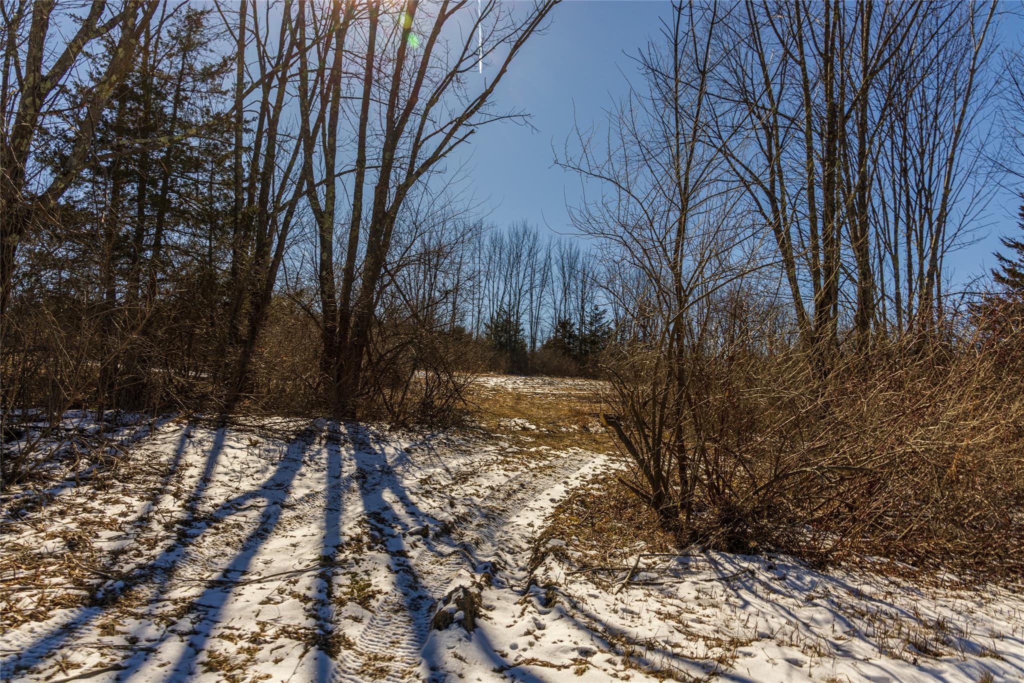 State Route 199 Road, Red Hook, New York image 43